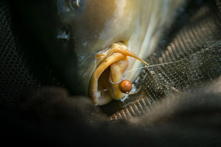 Anzuelos Nash Claw - Tienda Carpfishing