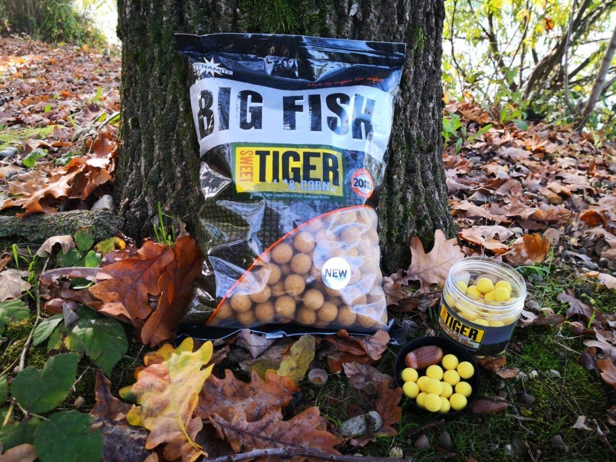 Boilies Dynamite Baits Big Fish Sweet Tiger Corn 20 mm - Tienda Carpfishing