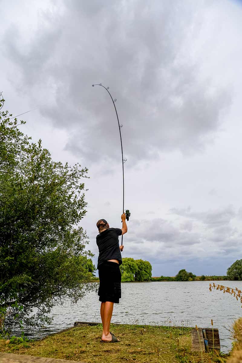 Caña Fox Horizon X5 Black 13 pies 3,5 lb - Tienda Carpfishing