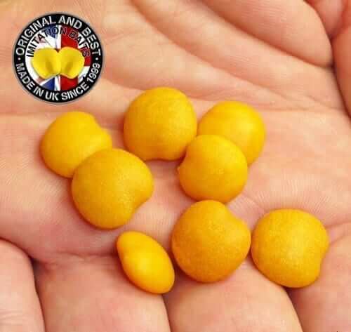 Altramuces grandes de imitación Enterprise - Tienda Carpfishing
