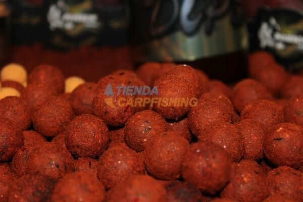 Boilies Pro Elite Baits Gold Robin Red 24 mm - Tienda Carpfishing