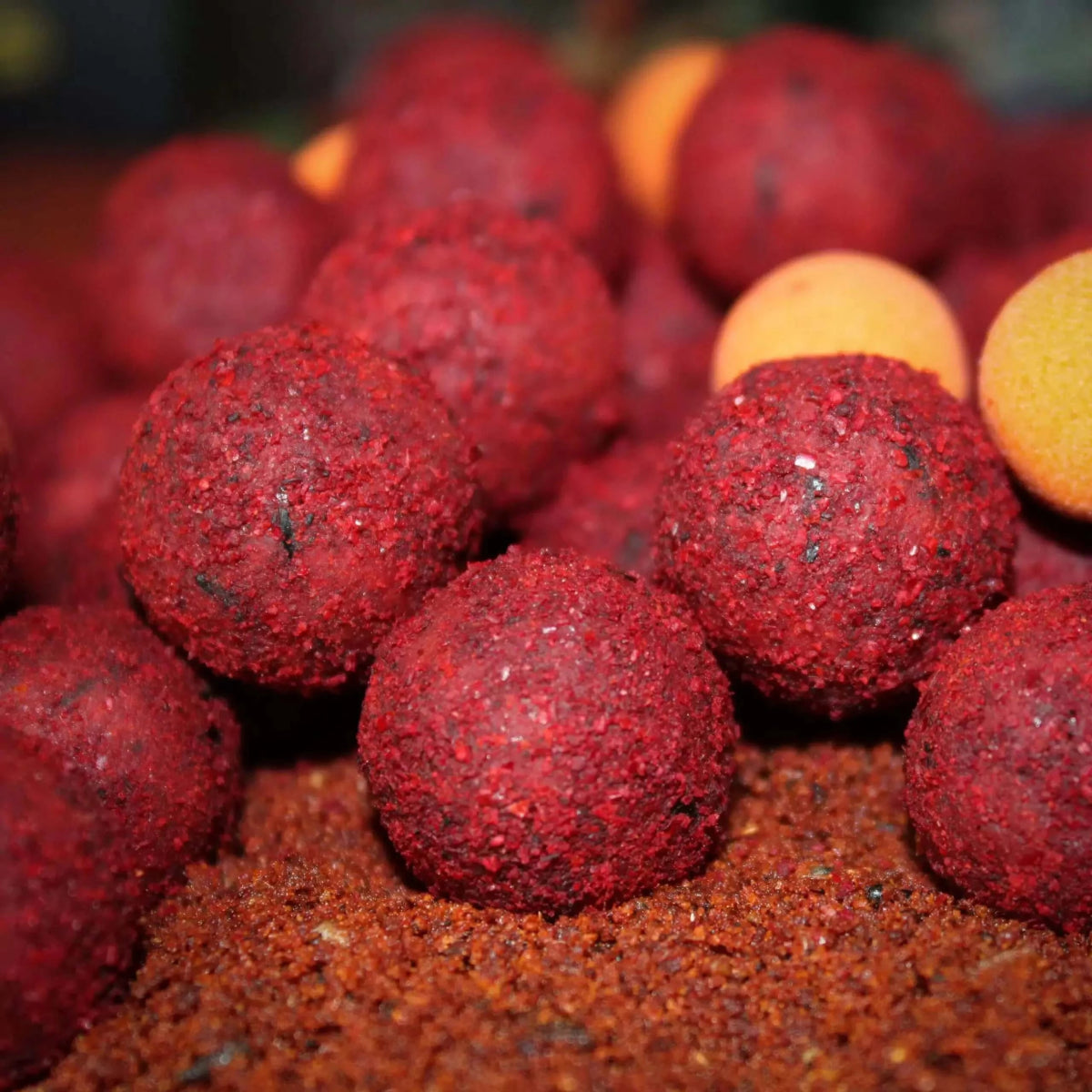 Boilies Pro Elite Baits Gold Robin Red 32 mm - Tienda Carpfishing