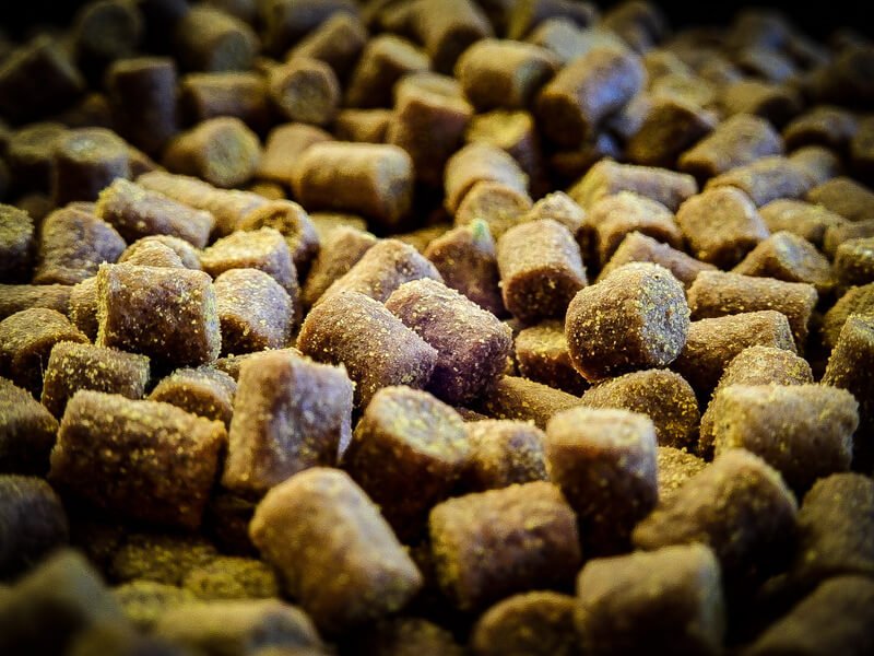 Pellets Pro Elite Baits Gold Sweet Dreams 6 mm - Tienda Carpfishing