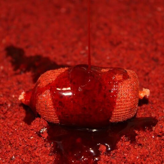 Stick Mix Pro Elite Baits Robin Red 800 g - Tienda Carpfishing
