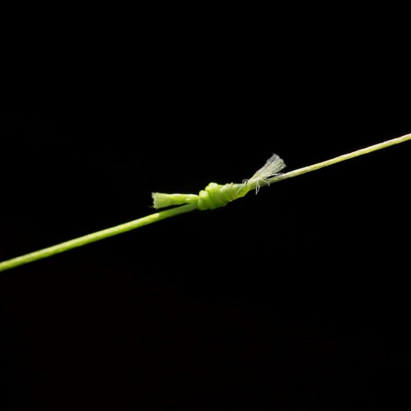 Trenzado ESP Spod 0,22 mm 300 m - Tienda Carpfishing