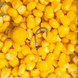 Anzuelos Nash Continental - Tienda Carpfishing