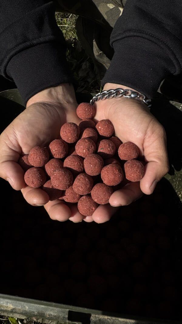 Boilies Solubles Pro Elite Baits Bloody Mulberry 20 mm 3,5 Kg - Tienda Carpfishing