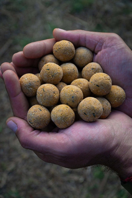 Boilies Solubles Pro Elite Baits Piña Scopex 20 mm 3,5 Kg - Tienda Carpfishing