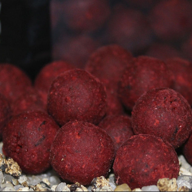 Boilies Trybion Cyprinus Max 20mm - Tienda Carpfishing