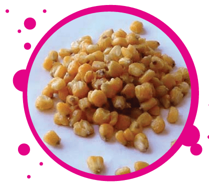Cubo Maiz Particles For Fishing 5 kg - Tienda Carpfishing