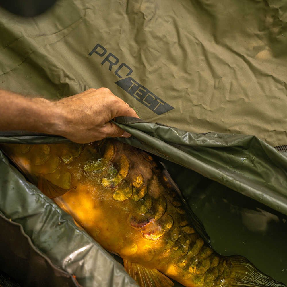 Cuna Avid Carp PRO - Tect Deluxe Cradle - Tienda Carpfishing