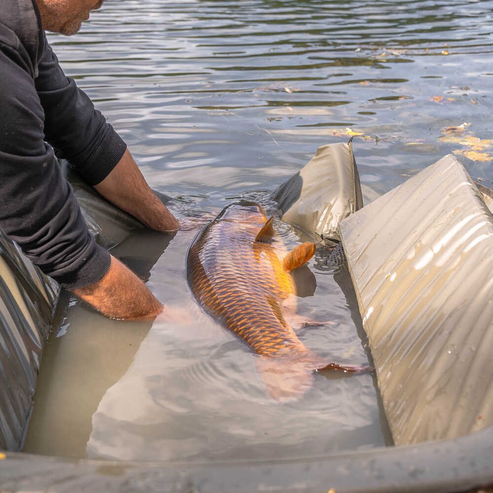 Cuna Avid Carp PRO - Tect Deluxe Cradle - Tienda Carpfishing