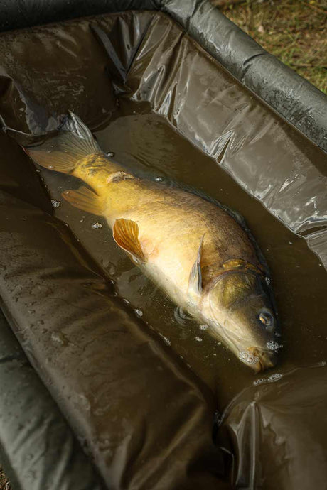 Cuna Fox Carpmaster - Tienda Carpfishing