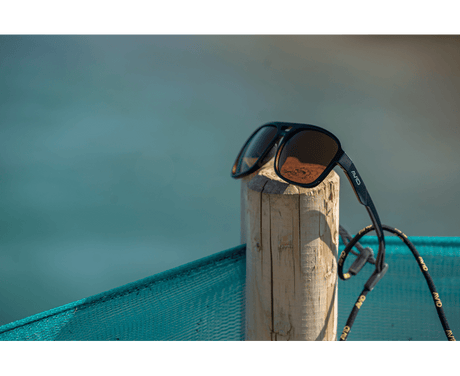 Gafas de sol polarizadas Avid Carp Classic - Tienda Carpfishing