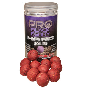 Hard Boilies Starbaits Probiotic Blackerry 20 mm - Tienda Carpfishing