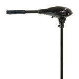 Motor Raptor Elektromotor 12V - 45 Ib - Tienda Carpfishing