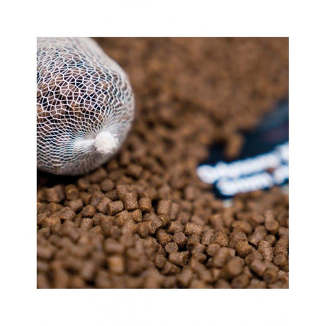Pellets Ccmoore Odyssey XXX 6 mm 5Kg - Tienda Carpfishing