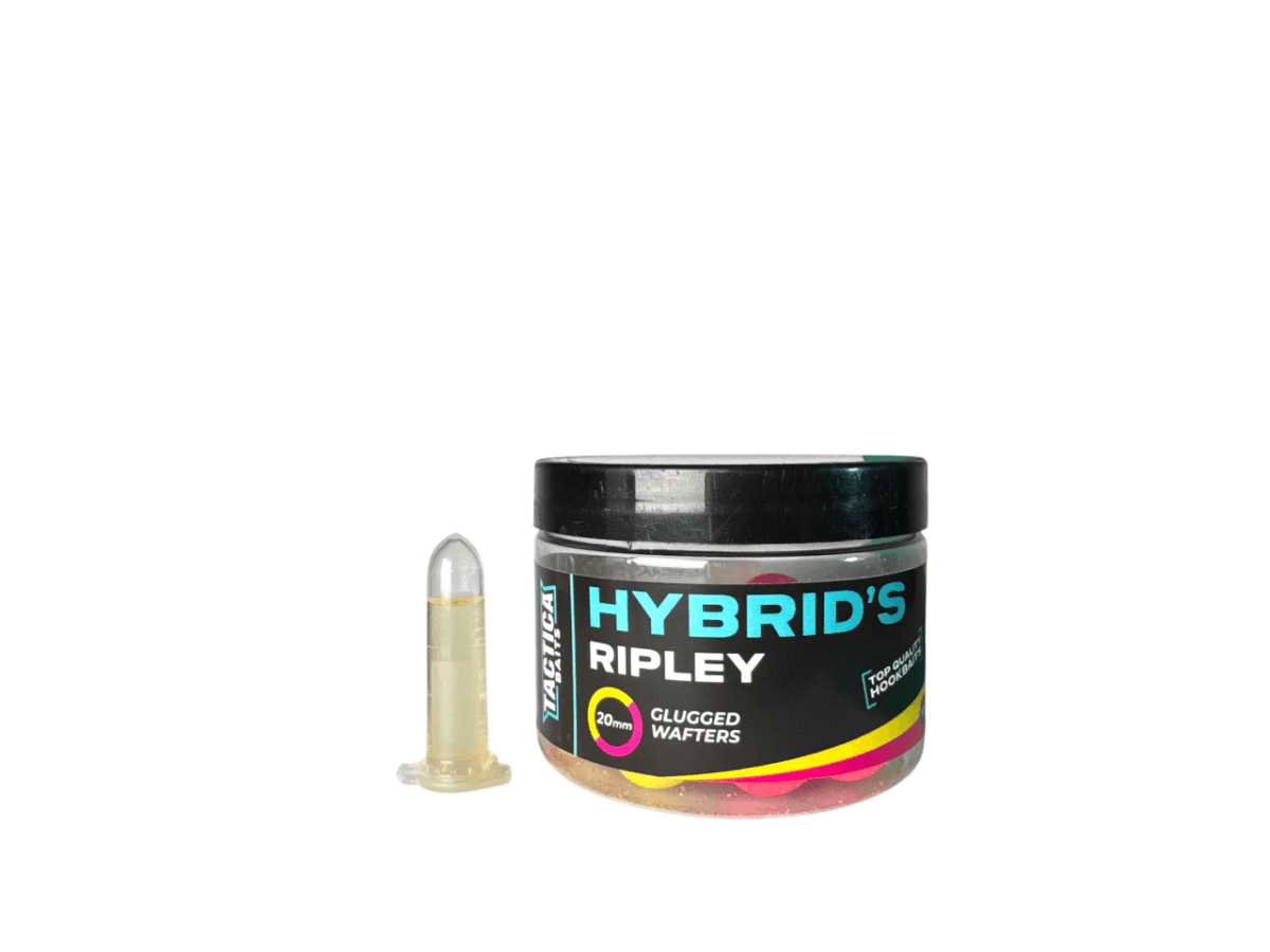 Wafters Tactica Baits Hybrids Ripley 15 mm - Tienda Carpfishing