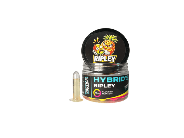 Wafters Tactica Baits Hybrids Ripley 15 mm - Tienda Carpfishing