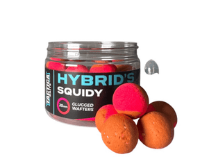 Wafters Tactica Baits Hybrids Squidy 15 mm - Tienda Carpfishing