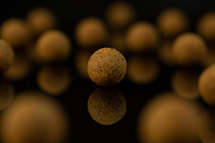 Boilies Sticky Manilla Shelf Life 16 mm - Tienda Carpfishing