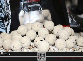 Boilies Trybion Adamantium 20 mm - Tienda Carpfishing