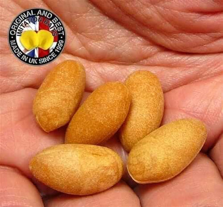 Cacahuete Enterprise - Tienda Carpfishing