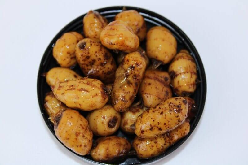 Chufas XXL Pro Elite Baits Piña Scopex - Tienda Carpfishing