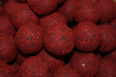 Cubo Pro Elite Baits Boilies Gold Robin Red 5 kg – 20 mm - Tienda Carpfishing