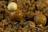 Dip Sticky Manilla 200 ml - Tienda Carpfishing