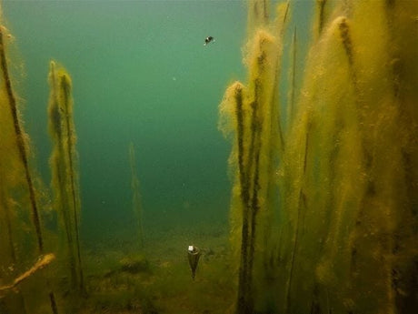 Kit flotante Edges Zig Fox - Tienda Carpfishing