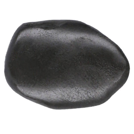 Masilla Tungsteno Mikado 15g - Tienda Carpfishing