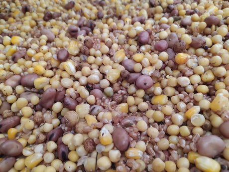 Mix Semilla Fina Superbaits 5 kg - Tienda Carpfishing