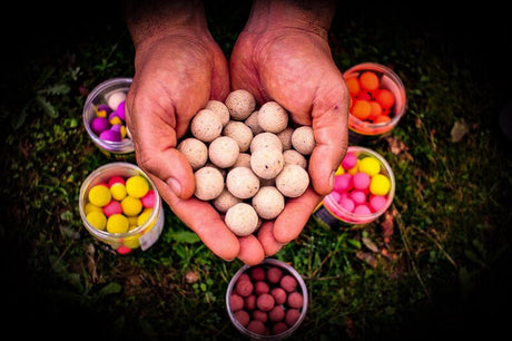 Pop ups Pro Elite Baits Garlic 14 - 20 mm - Tienda Carpfishing