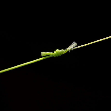 Trenzado ESP Spod 0,22 mm 300 m - Tienda Carpfishing