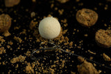 Wafters Sticky The Krill Blanco 16 mm - Tienda Carpfishing